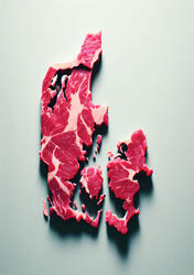 A striking commentary on identity, land, and the layered stories embedded in geography. Minimalist yet provocative. Price: 200,- DKK Poster in 50x70 cm (including exhibiting frame)